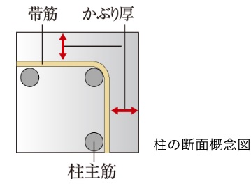 鉄筋コンクリートの劣化対策(かぶり厚)