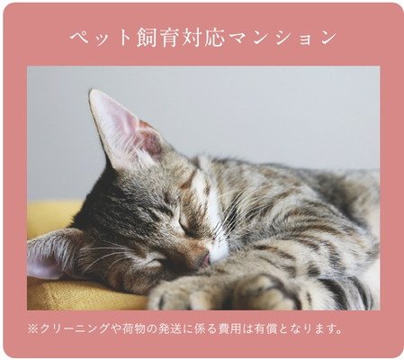 ペット飼育対応マンション