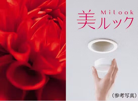 美ルック