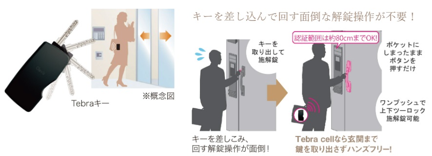 Tebraキー・Tebra cell（電池錠）〈オプション〉