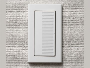 大型スイッチ