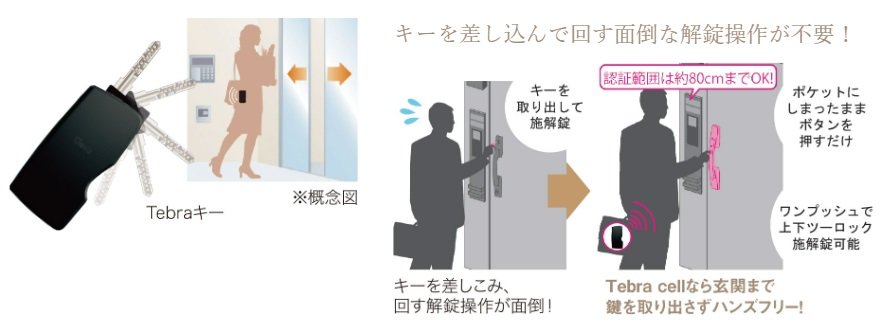 Tebraキー・Tebra cell（電池錠）〈オプション〉