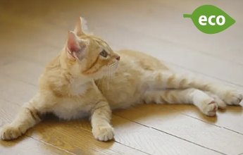 TES温水式床暖房
