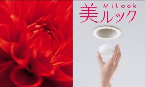 美ルック