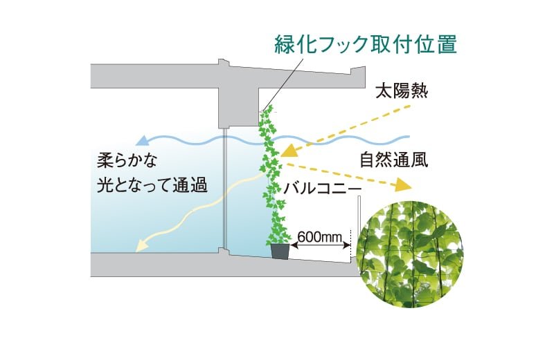 緑化フック※