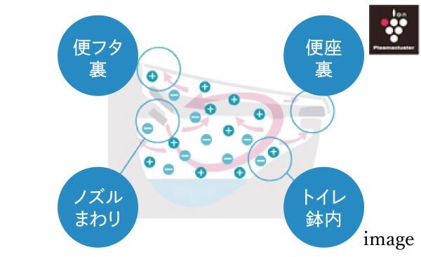 鉢内除菌