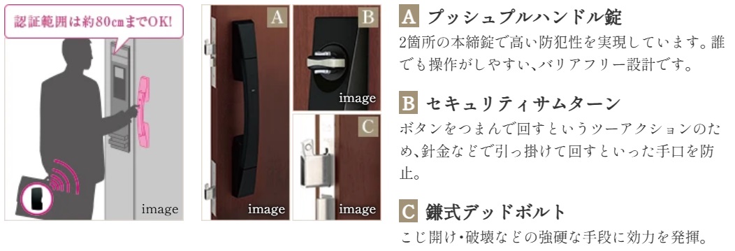 Tebra cell (テブラ セル)