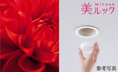 美ルック
