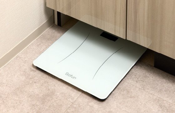 ヘルスメーター収納スペース