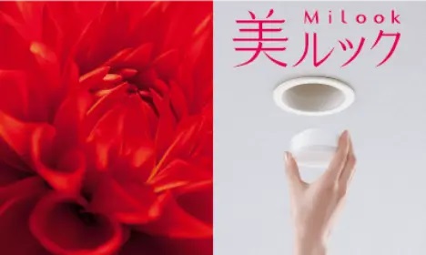 美ルック