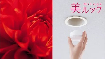 美ルック