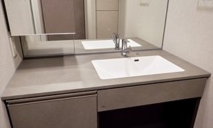 片寄ボウル一体型カウンター