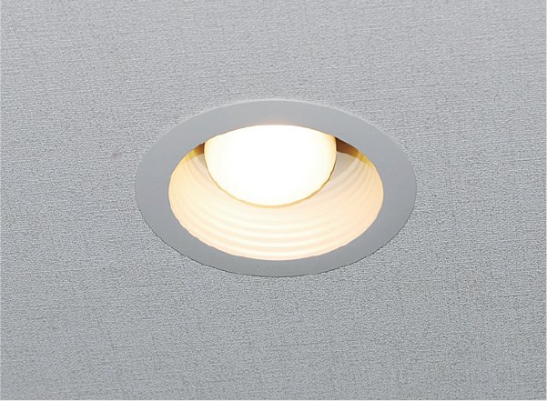 LED仕様のダウンライト
※玄関・廊下〔専有部〕、エントランス〔共用部〕に使用