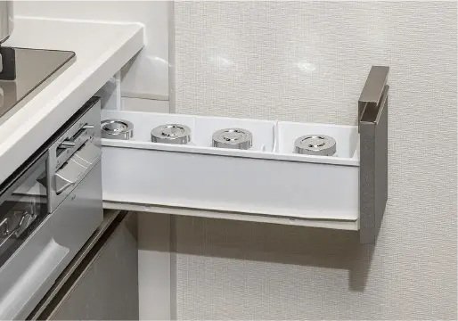 スパイスキャリー