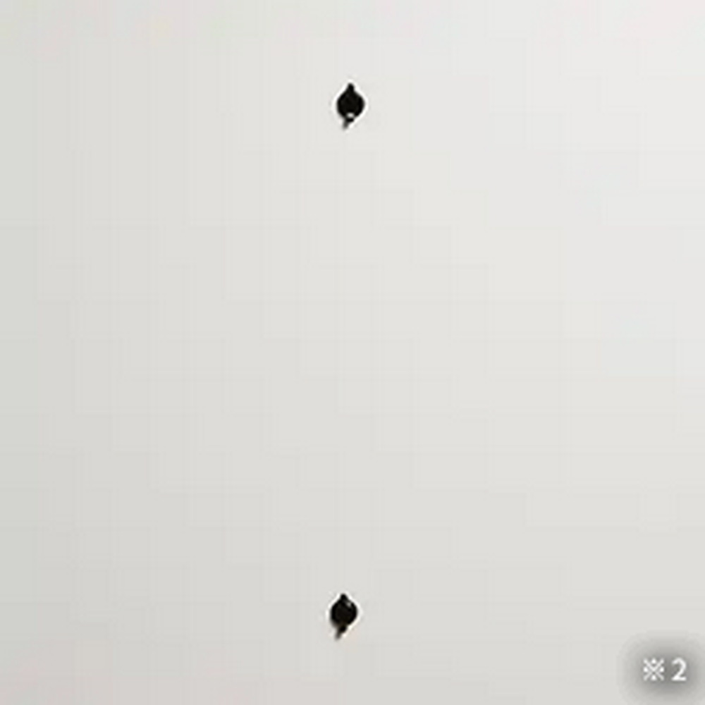 ダブルドアスコープ