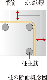柱の断面概念図