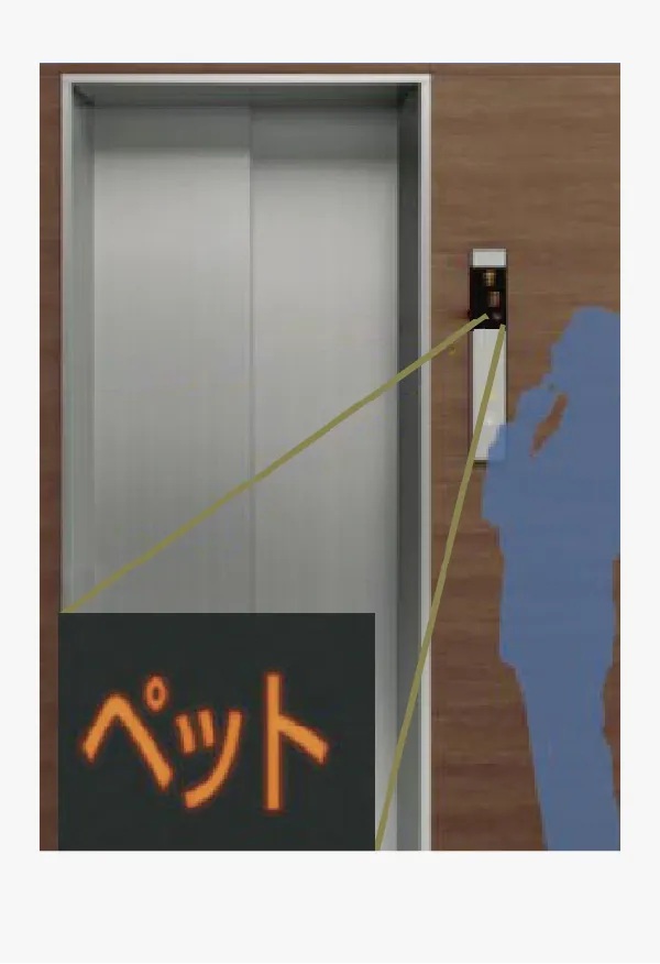 ペット同乗運転