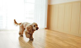 ペットが原因の
黒ずみや汚れに強い