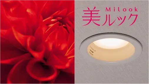 美ルック