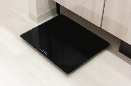 ヘルスメーター収納スペース