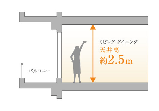 全戸リビング天井高約2.5m
