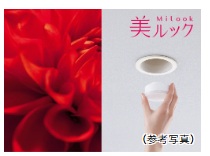 美ルック