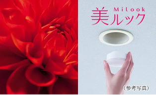 美ルック