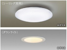 全室にLED仕様の照明器具