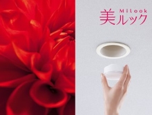 美ルック