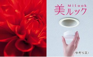 美ルック