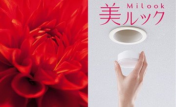 美ルック