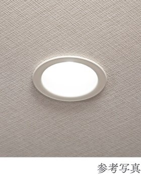 LED照明