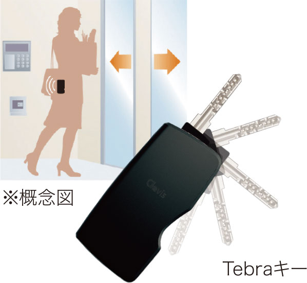 Tebraキー・Tebra cell（電池錠）