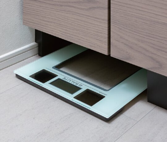 ヘルスメーター収納スペース