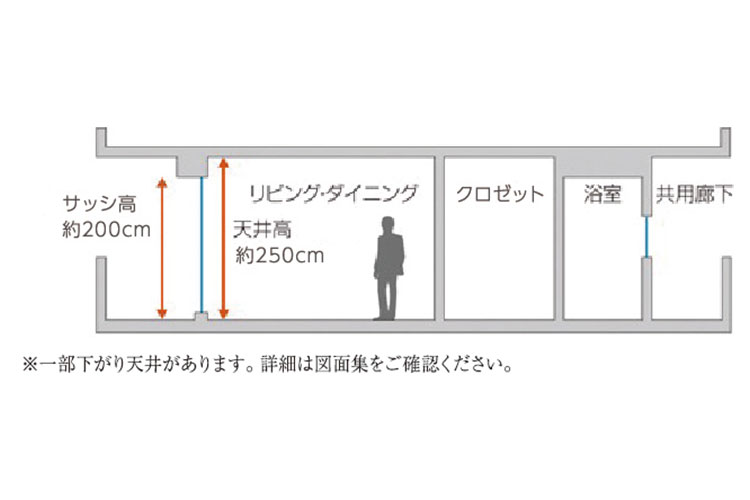 天井高・サッシ高