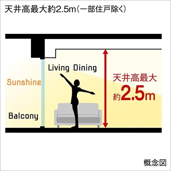 天井高最大約2.5m
（一部住戸除く）を確保