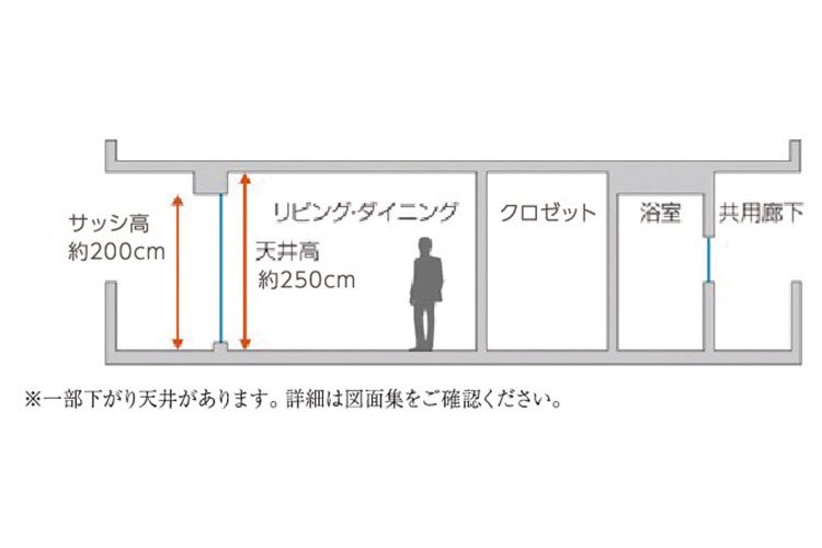 天井高・サッシ高