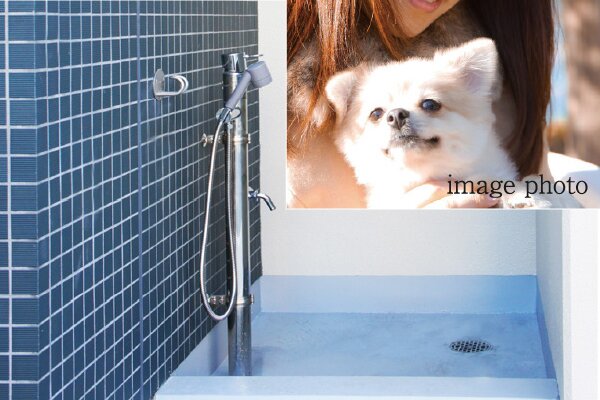 ペット飼育※とペット足洗い場