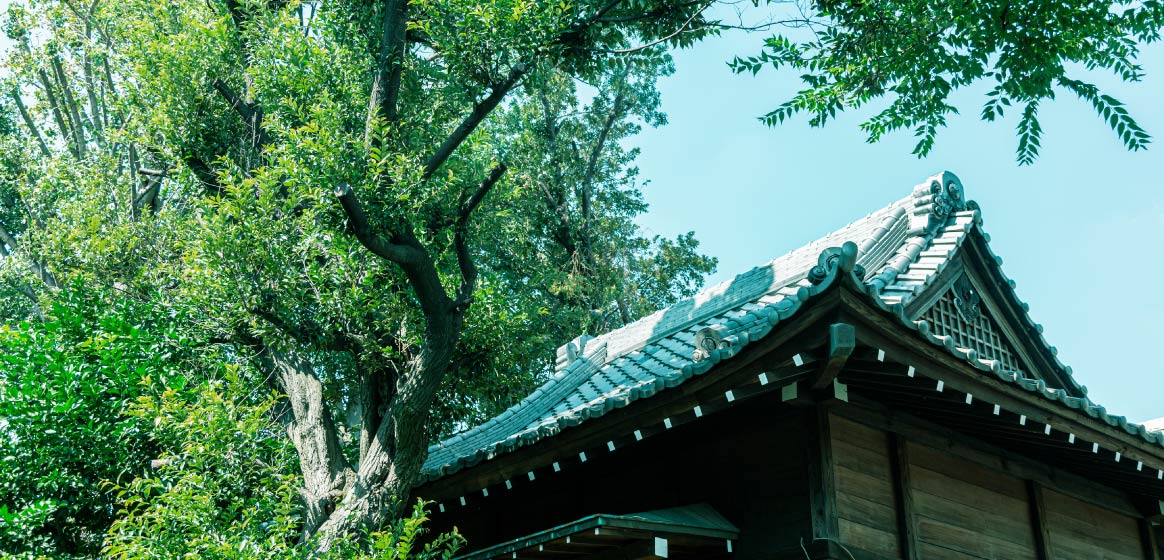 神社境内地ならではの豊富な緑量