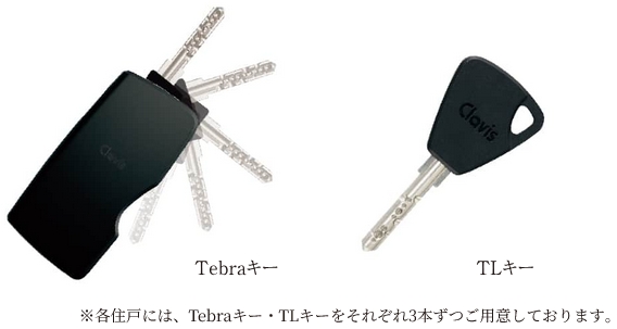Tebraキー