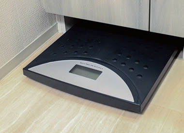 ヘルスメーター収納スペース