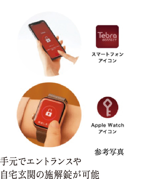 テブラコネクト