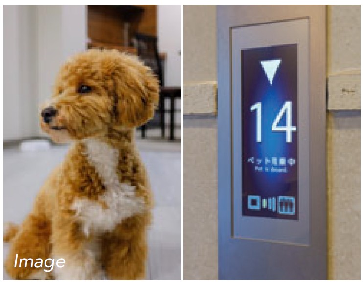 ペット対応マンション