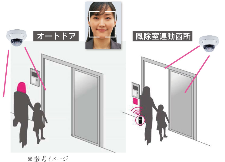 共用部Tebra FACE Pass