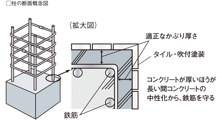 鉄筋：かぶり厚さ