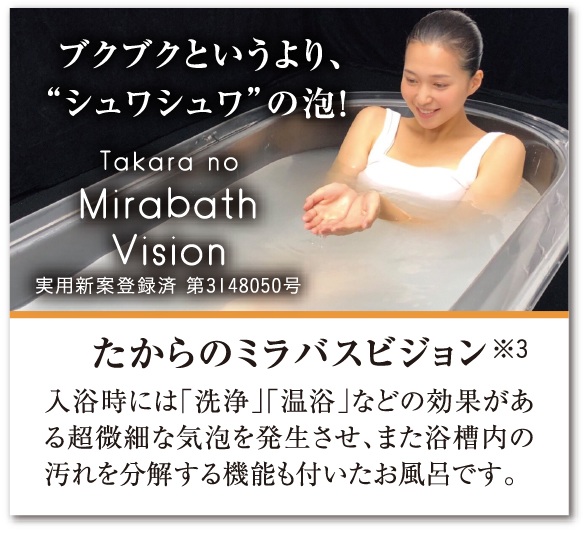 たからのミラバスビジョン