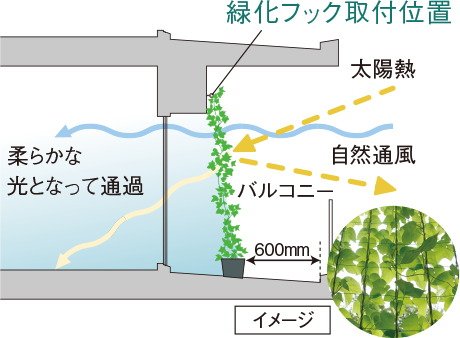 緑化フック※3