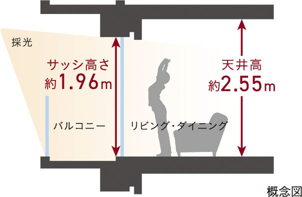 開放感を高める約2.55mの天井高