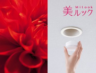 美ルック