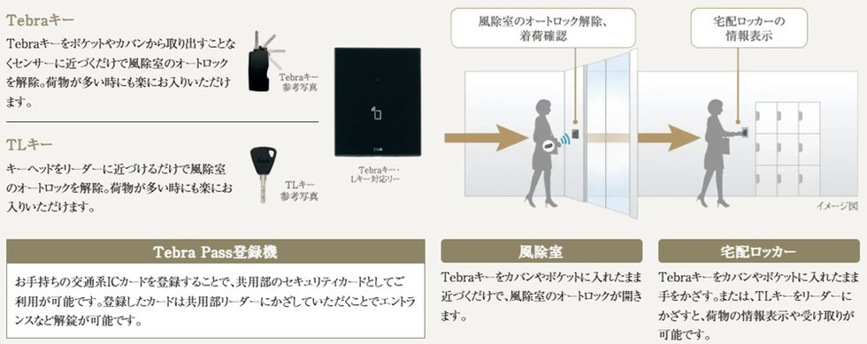 Tebraキー／TLキー